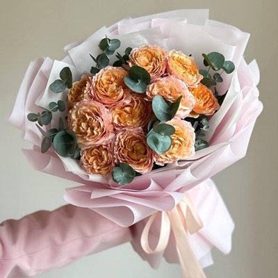 Peony rose Moscow