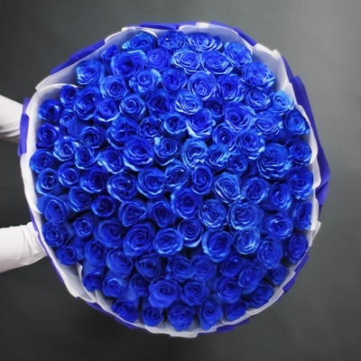 Blue rose delivery in Moscow