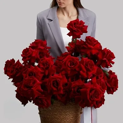 French rose delivery in Russia