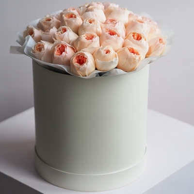 Peonies in box Moscow 