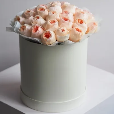 Peonies in box Moscow