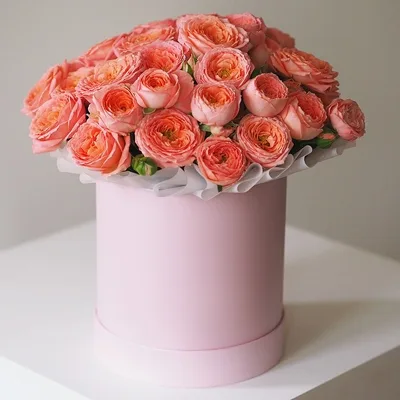 Peonies in box delivery in Russia