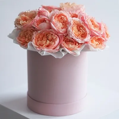 Roses in Box Annalisa