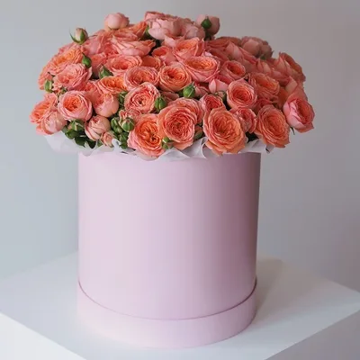 Roses in Box Felicita